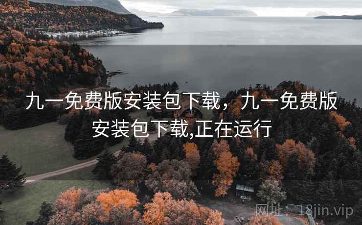 九一免费版安装包下载，九一免费版安装包下载,正在运行