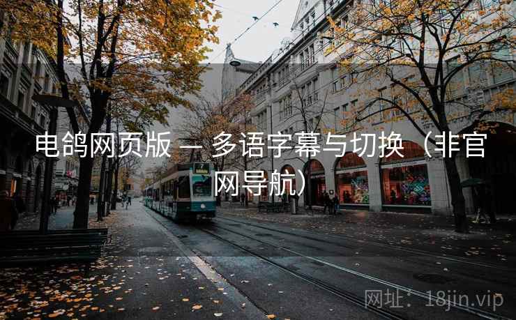 电鸽网页版 — 多语字幕与切换（非官网导航）
