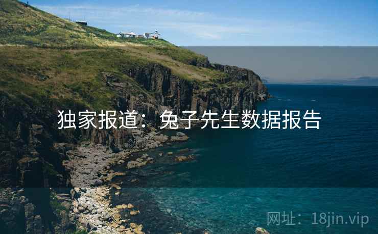 独家报道：兔子先生数据报告