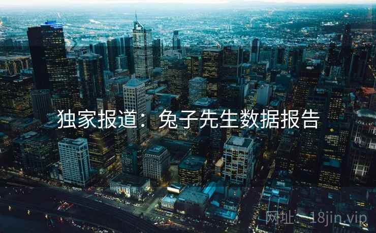 独家报道：兔子先生数据报告