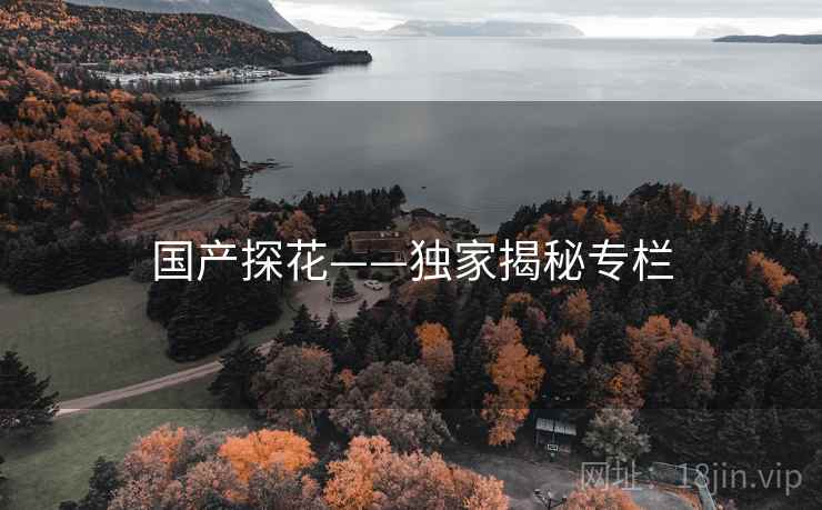 国产探花——独家揭秘专栏