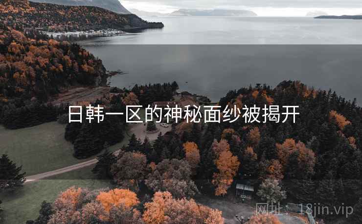 日韩一区的神秘面纱被揭开