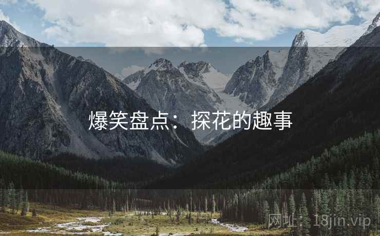 爆笑盘点：探花的趣事