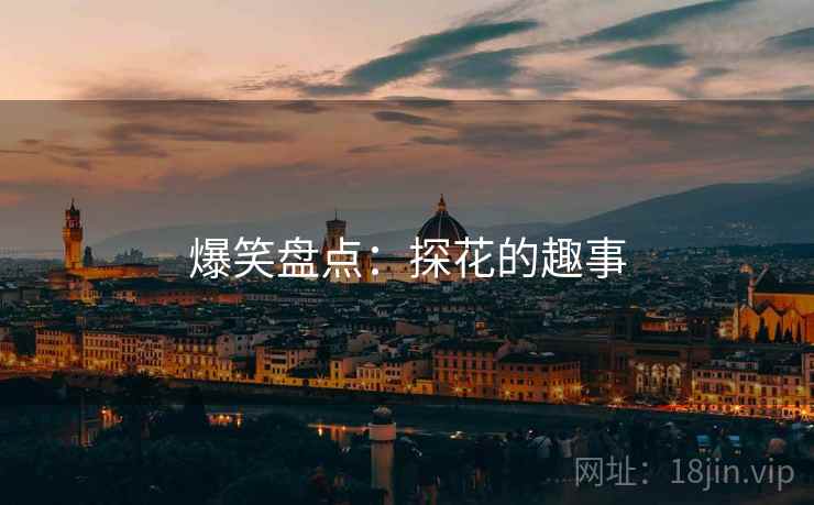 爆笑盘点：探花的趣事