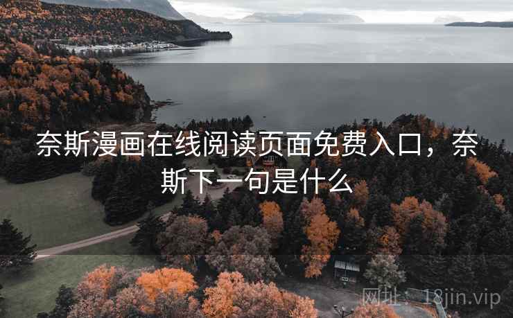奈斯漫画在线阅读页面免费入口，奈斯下一句是什么